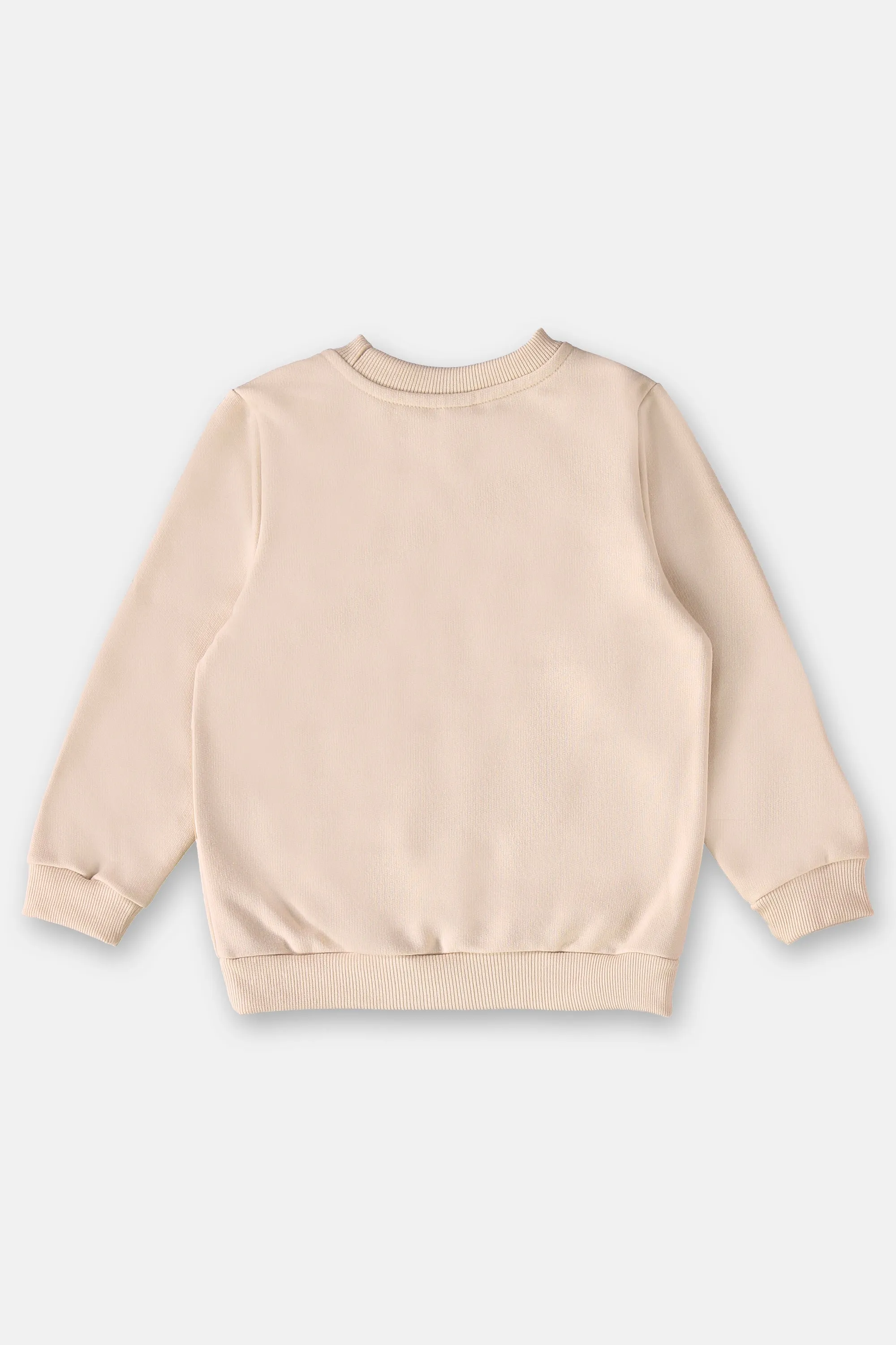 2 Piece Boys Puppy Sweatshirt & Pants
