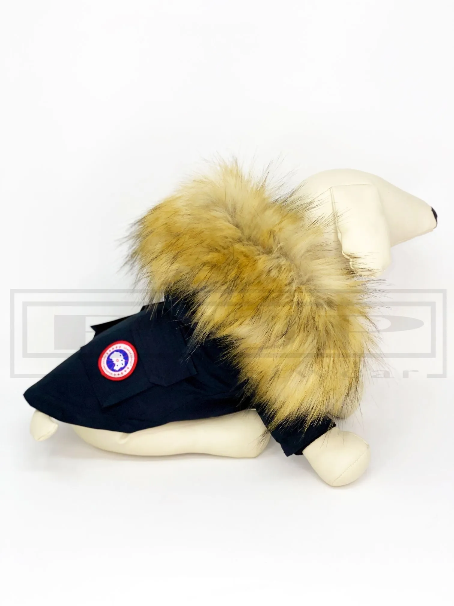 Canada Pup Black Parka