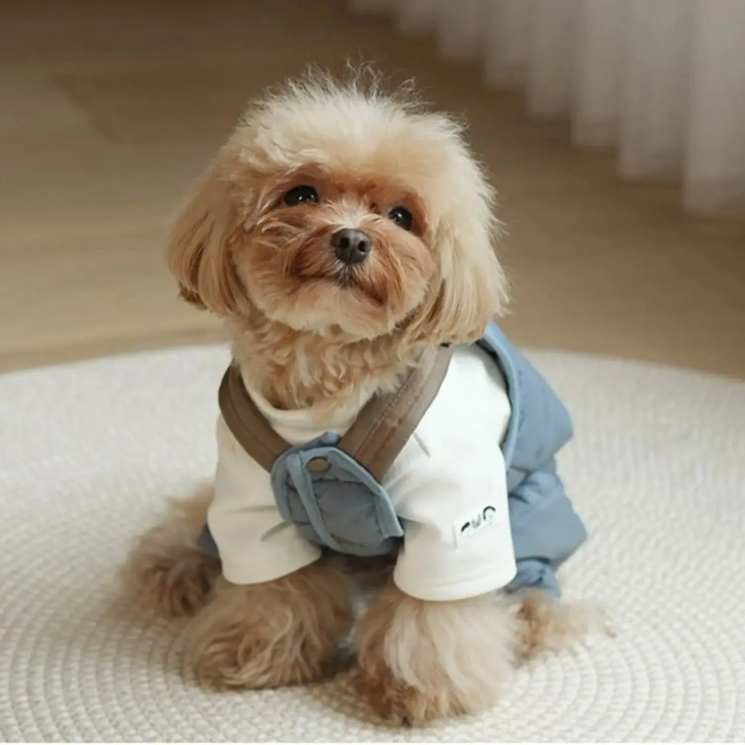Pup Overalls